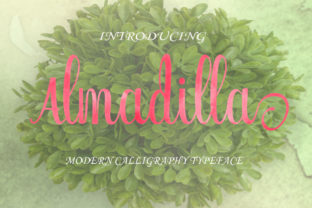 Almadilla: A Handwritten Font for Modern Campaigns