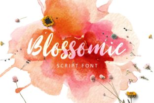 Blossomie Font: A Strategic Review for Campaigns