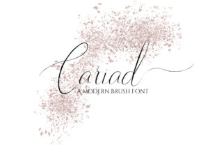 Cariad: A Modern Signature Font for Campaigns