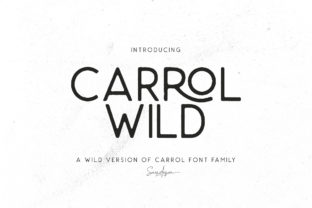 Carrol Wild: A Modern Sans Serif for Web Design