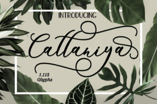 Cattaniya: A Fresh Handmade Script Font for Editorial Design