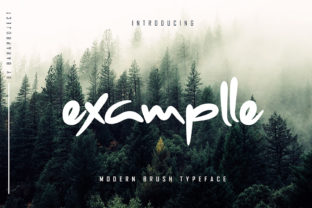 Examplle: A Dynamic Script Font for Web Design