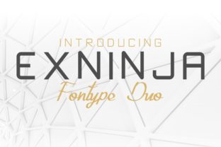 Exninja: A Bold Font for Small Business Branding