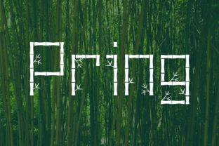 Pring: A Fresh Decorative Font for Small Business Branding