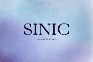 Sinic: A Distinctive Script Font for Web Design
